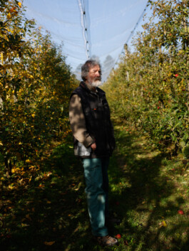 Portrait bei der Ernte; Landwirtschaft, Fotograf