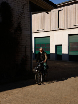 Nach der Ernte, Apfelernte, Portrait